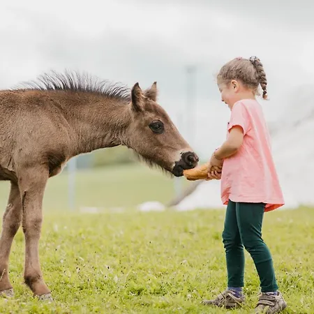 Landhaus Txanpardin Azpeitia