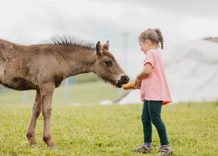 Country house Txanpardin Azpeitia