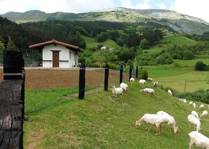 Country house Txanpardin *