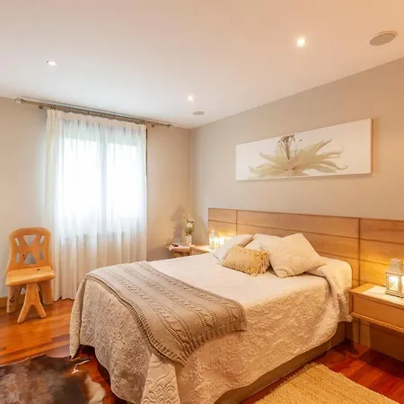 乡村民宿 Txanpardin 阿兹佩希亚