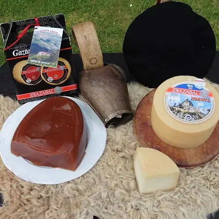 乡村民宿 Txanpardin