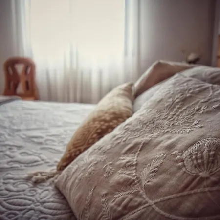 乡村民宿 Txanpardin