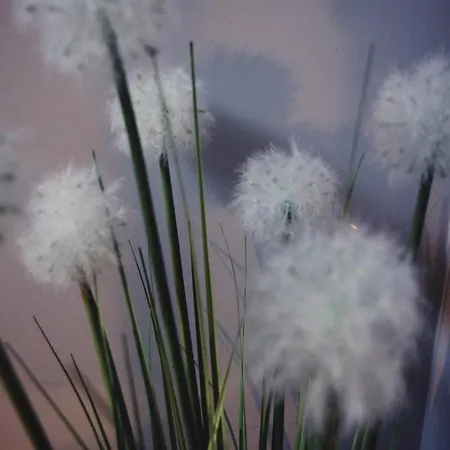 Séjour à la campagne Txanpardin *