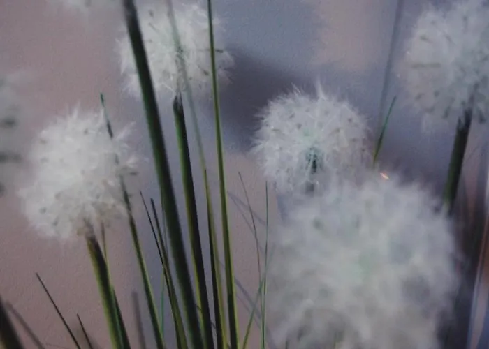 Landhaus Txanpardin *